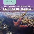 Las Cadenas Alimentarias En La Poza de Marea Tide Pool Food Chains