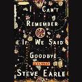 I Can't Remember If We Said Goodbye Lib/E: A Memoir