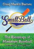 Small Ball: The Blessings of Miniature Baseball