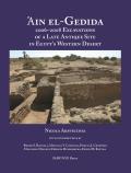 'Ain El-Gedida: 2006-2008 Excavations of a Late Antique Site in Egypt's Western Desert (Amheida IV)