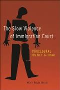 The Slow Violence of Immigration Court: Procedural Justice on Trial