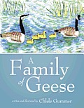 A Family of Geese