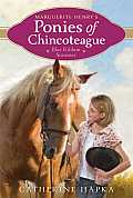 Ponies of Chincoteague 02 Blue Ribbon Summer