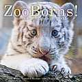 Zooborns Zoo Babies from Around the World