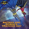 Batman & Robins Training Day