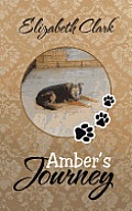 Amber's Journey