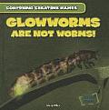 Glowworms Are Not Worms!