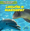 ?Delf?n O Marsopa? (Dolphin or Porpoise?)