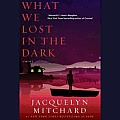 What We Lost in the Dark