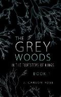 The Grey Woods: Book 1 In the Footsteps of Kings