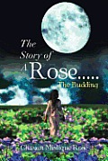 The Story of a Rose.....the Budding