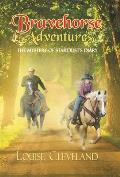 Brave Horse Adventures: The Mystery of Stardust's Diary