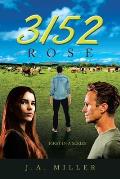 3152: Rose