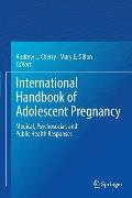 International Handbook of Adolescent Pregnancy: Medical, Psychosocial, and Public Health Responses