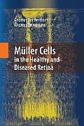M?ller Cells in the Healthy and Diseased Retina