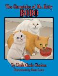 The Chronicles of Mr. Kitty: Bo Bo