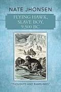 Flying Hawk, Slave Boy, 9,500 BC: Thoughts and Ramblings by