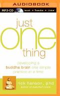 Just One Thing Developing a Buddha Brain One Simple Practice at a Time