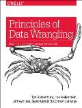 Principles of Data Wrangling Practical Techniques for Data Preparation