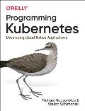 Programming Kubernetes Developing Cloud Native Applications