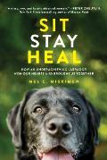 Sit Stay Heal: How an Underachieving Labrador Won Our Hearts and Brought Us Together