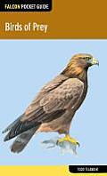 Falcon Pocket Guide Birds of Prey