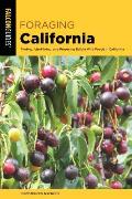 Foraging California Finding Identifying & Preparing Edible Wild Foods In California