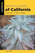 Medicinal Herbs of California A Field Guide to Common Healing Plants