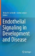 Endothelial Signaling in Development and Disease