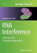 RNA Interference: Challenges and Therapeutic Opportunities