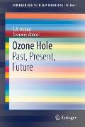 Ozone Hole: Past, Present, Future