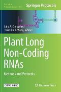 Plant Long Non-Coding Rnas: Methods and Protocols