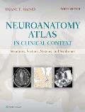 Neuroanatomy Atlas In Clinical Context Structures Sections Systems & Syndromes