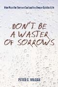 Don't Be a Waster of Sorrows: Nine Ways Our Sorrows Can Lead to a Deeper Spiritual Life