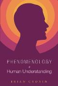 Phenomenology of Human Understanding