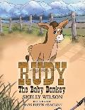 Rudy The Baby Donkey