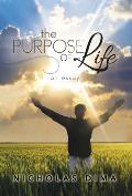 The Purpose of Life: An Essay