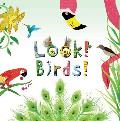 Look Birds