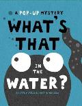 What's That in the Water?: A Pop-Up Mystery
