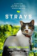 Strays: A Homeless Man, a Lost Cat, and Their Journey Across America