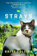 Strays The True Story of a Lost Cat a Homeless Man & Their Journey Across America