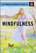 Fireside Grown Up Guide to Mindfulness