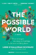 Possible World A Novel