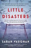Little Disasters A Novel