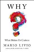 Why What Makes Us Curious