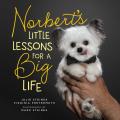 Norberts Little Lessons for a Big Life