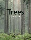 Trees A Complete Guide to Their Biology & Structure