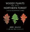 Woody Plants of the Northern Forest: A Photographic Guide