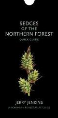 Sedges of the Northern Forest: Quick Guide