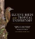 Elusive Birds of the Tropical Understory